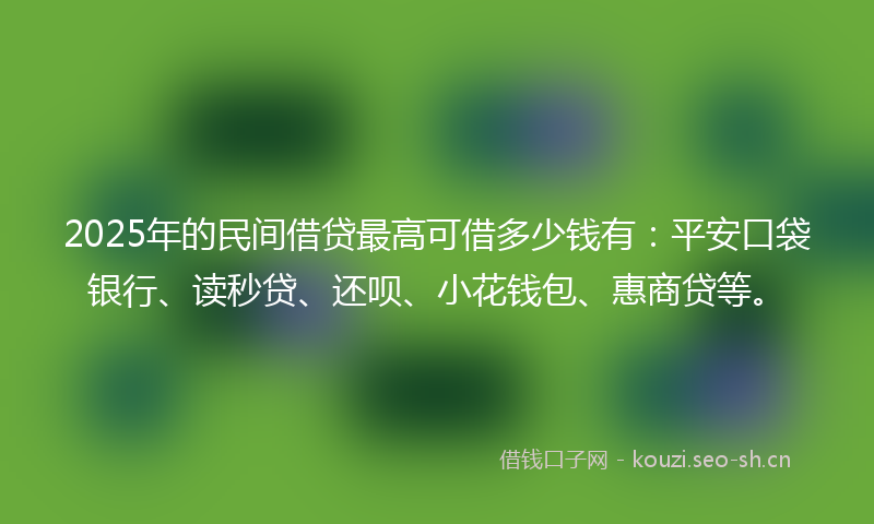 2025年的民间借贷最高可借多少钱有：平安口袋银行、读秒贷、还呗、小花钱包、惠商贷等。