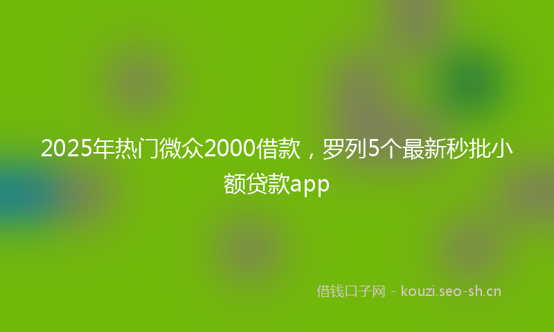 2025年热门微众2000借款，罗列5个最新秒批小额贷款app