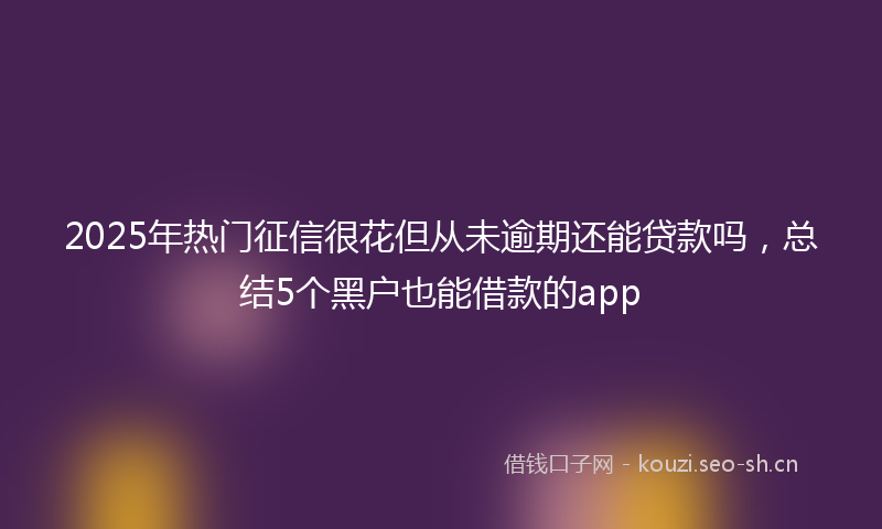 2025年热门征信很花但从未逾期还能贷款吗，总结5个黑户也能借款的app