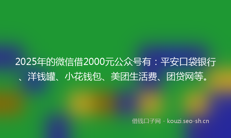 2025年的微信借2000元公众号有:平安口袋银行、洋钱罐、小花钱包、美团生活费、团贷网等。