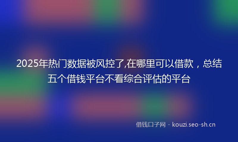 2025年热门数据被风控了,在哪里可以借款，总结五个借钱平台不看综合评估的平台