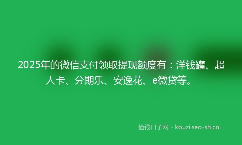 2025年的微信支付领取提现额度有：洋钱罐、超人卡、分期乐、安逸花、e微贷等。