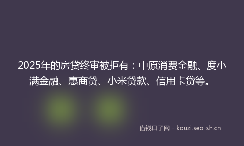 2025年的房贷终审被拒有：中原消费金融、度小满金融、惠商贷、小米贷款、信用卡贷等。