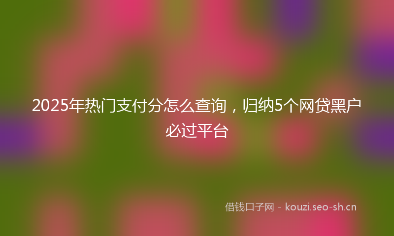 2025年热门支付分怎么查询，归纳5个网贷黑户必过平台