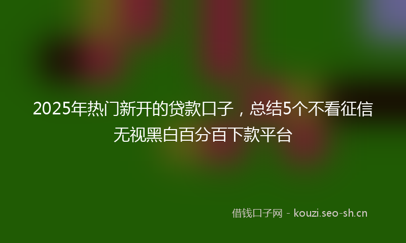 2025年热门新开的贷款口子，总结5个不看征信无视黑白百分百下款平台