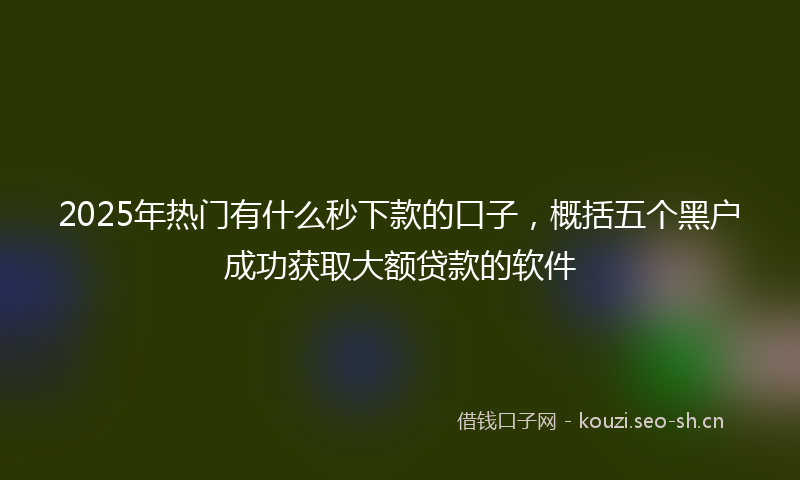 2025年热门有什么秒下款的口子，概括五个黑户成功获取大额贷款的软件