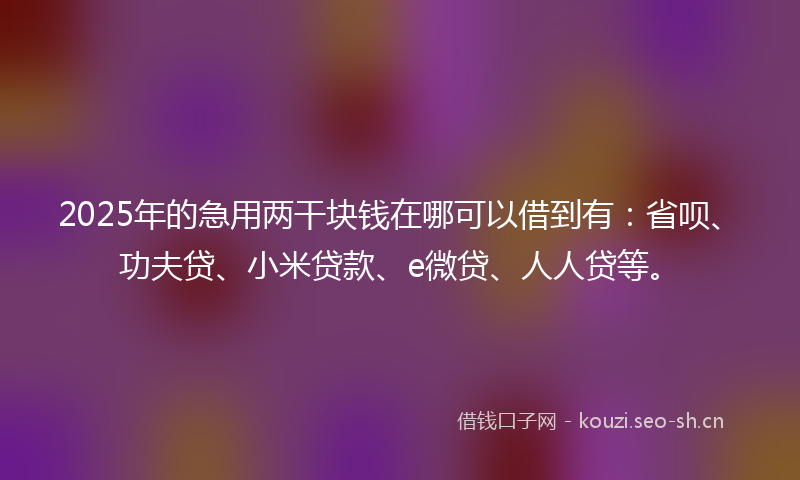 2025年的急用两干块钱在哪可以借到有:省呗、功夫贷、小米贷款、e微贷、人人贷等。