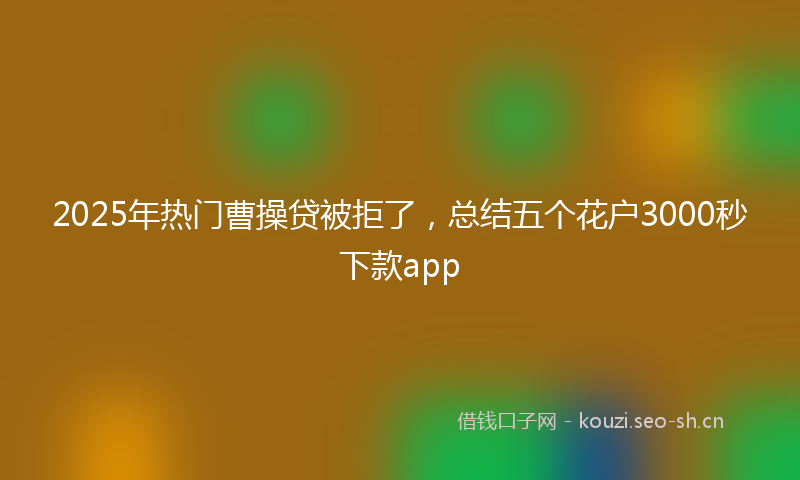 2025年热门曹操贷被拒了，总结五个花户3000秒下款app