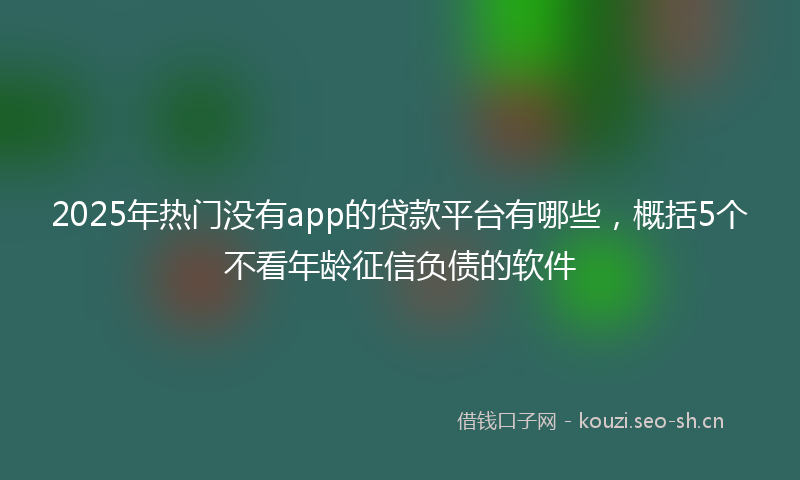 2025年热门没有app的贷款平台有哪些，概括5个不看年龄征信负债的软件