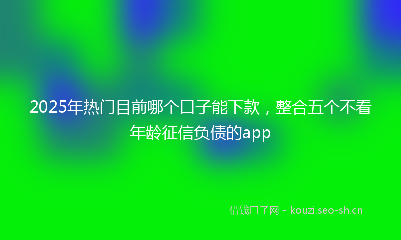 2025年热门目前哪个口子能下款,整合五个不看年龄征信负债的app