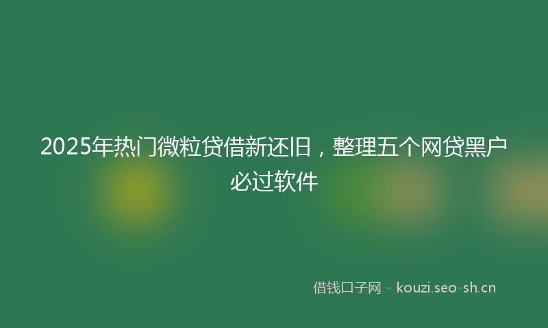 2025年热门微粒贷借新还旧，整理五个网贷黑户必过软件