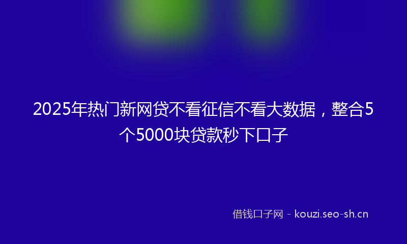 2025年热门新网贷不看征信不看大数据,整合5个5000块贷款秒下口子