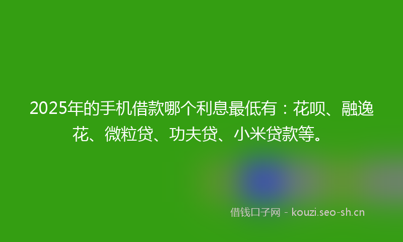 2025年的手机借款哪个利息最低有：花呗、融逸花、微粒贷、功夫贷、小米贷款等。