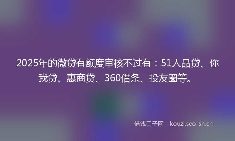 2025年的微贷有额度审核不过有：51人品贷、你我贷、惠商贷、360借条、投友圈等。