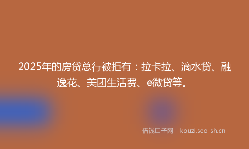 2025年的房贷总行被拒有：拉卡拉、滴水贷、融逸花、美团生活费、e微贷等。
