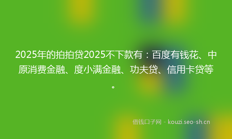 2025年的拍拍贷2025不下款有：百度有钱花、中原消费金融、度小满金融、功夫贷、信用卡贷等。