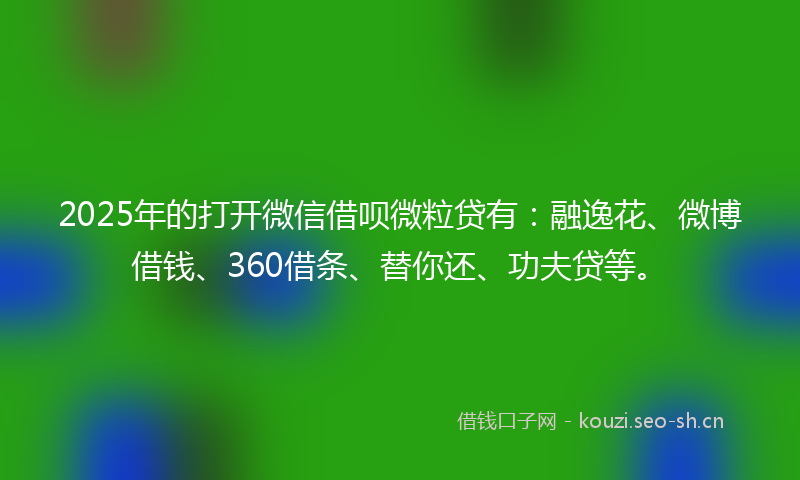 2025年的打开微信借呗微粒贷有：融逸花、微博借钱、360借条、替你还、功夫贷等。
