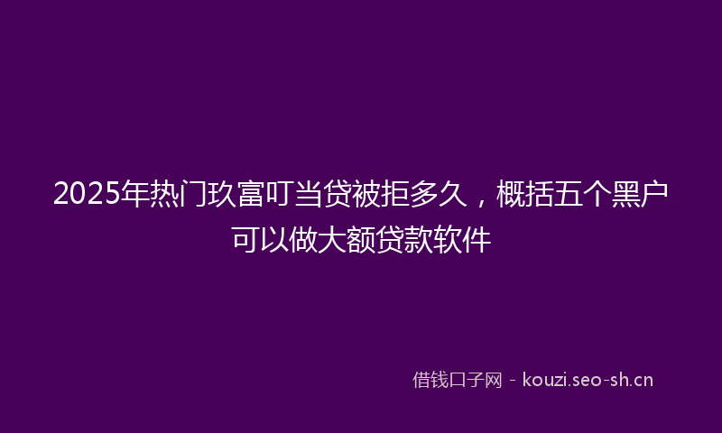 2025年热门玖富叮当贷被拒多久，概括五个黑户可以做大额贷款软件