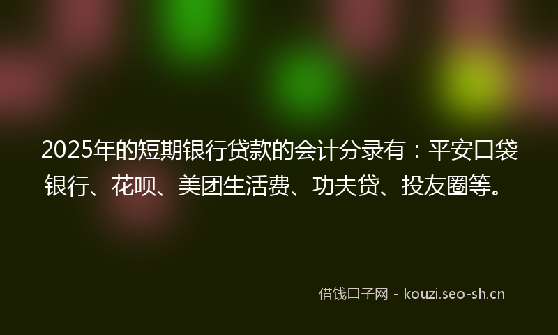 2025年的短期银行贷款的会计分录有：平安口袋银行、花呗、美团生活费、功夫贷、投友圈等。