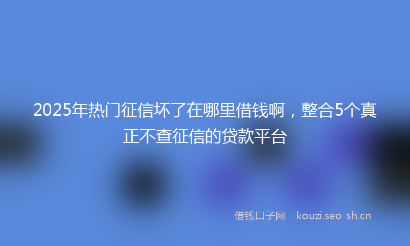 2025年热门征信坏了在哪里借钱啊，整合5个真正不查征信的贷款平台