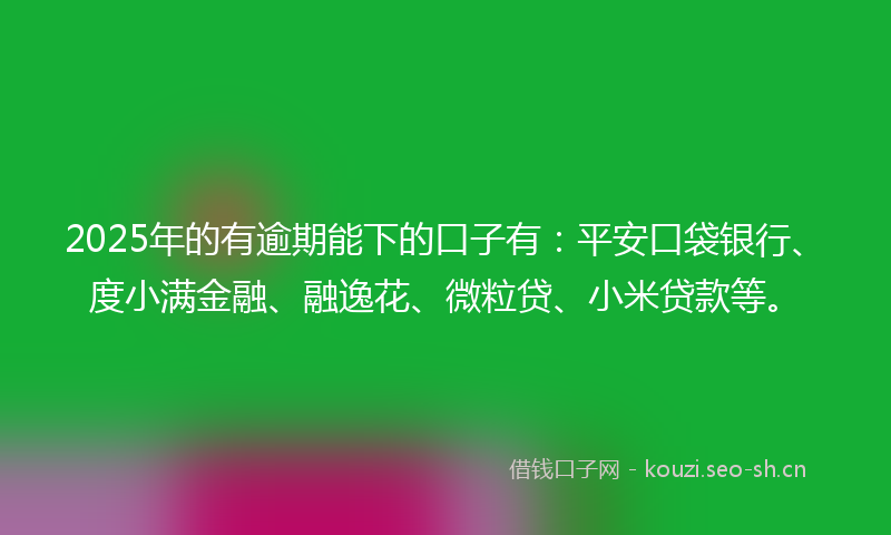 2025年的有逾期能下的口子有：平安口袋银行、度小满金融、融逸花、微粒贷、小米贷款等。