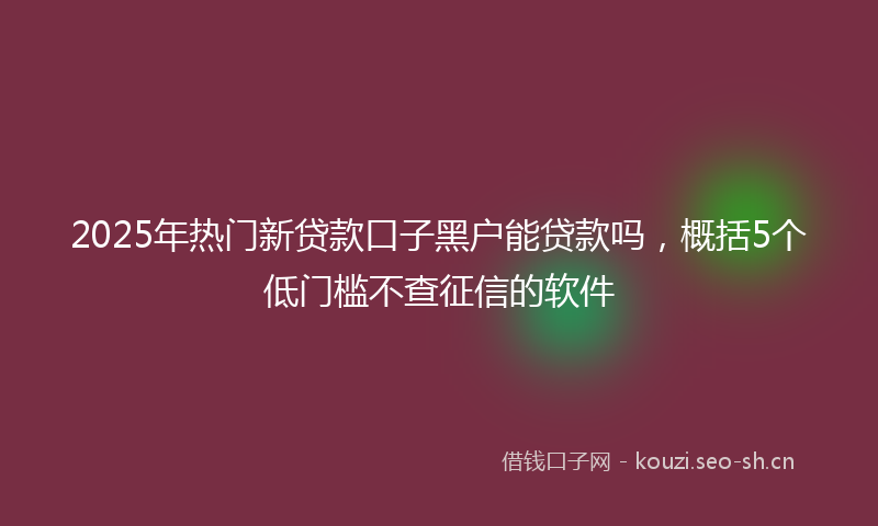 2025年热门新贷款口子黑户能贷款吗,概括5个低门槛不查征信的软件