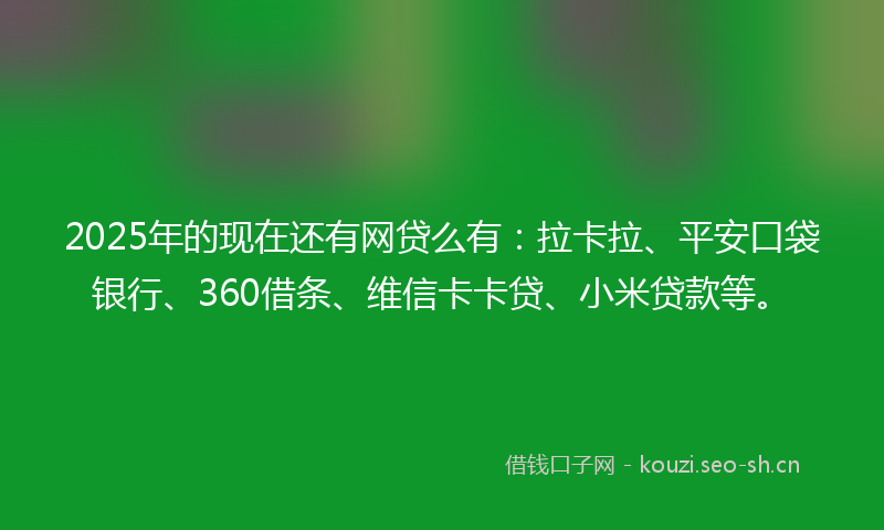 2025年的现在还有网贷么有：拉卡拉、平安口袋银行、360借条、维信卡卡贷、小米贷款等。