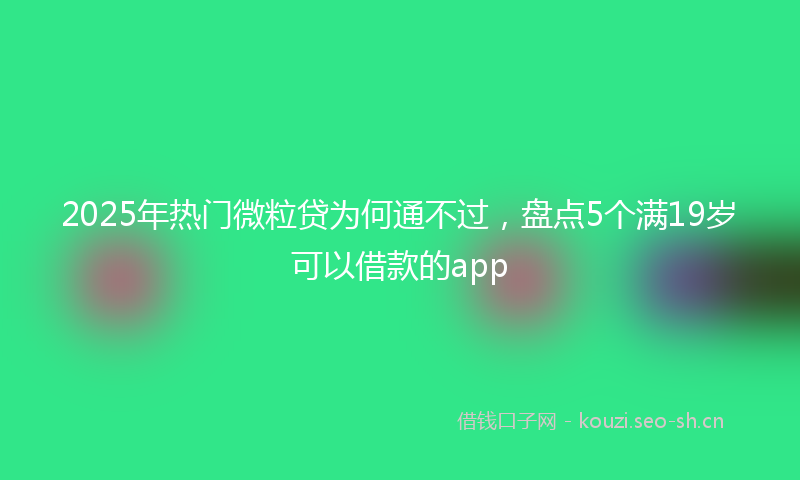 2025年热门微粒贷为何通不过，盘点5个满19岁可以借款的app