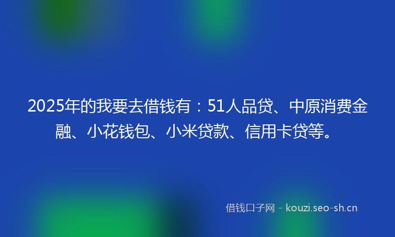 2025年的我要去借钱有：51人品贷、中原消费金融、小花钱包、小米贷款、信用卡贷等。