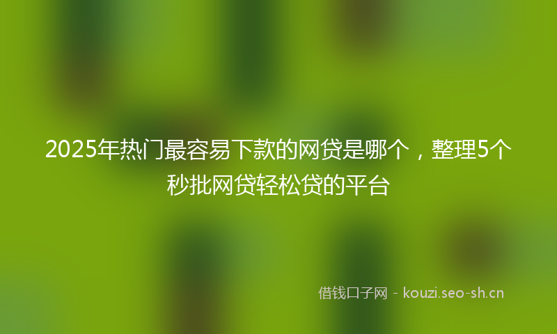 2025年热门最容易下款的网贷是哪个，整理5个秒批网贷轻松贷的平台