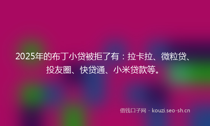 2025年的布丁小贷被拒了有：拉卡拉、微粒贷、投友圈、快贷通、小米贷款等。