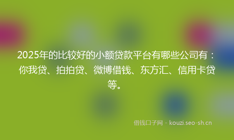 2025年的比较好的小额贷款平台有哪些公司有：你我贷、拍拍贷、微博借钱、东方汇、信用卡贷等。
