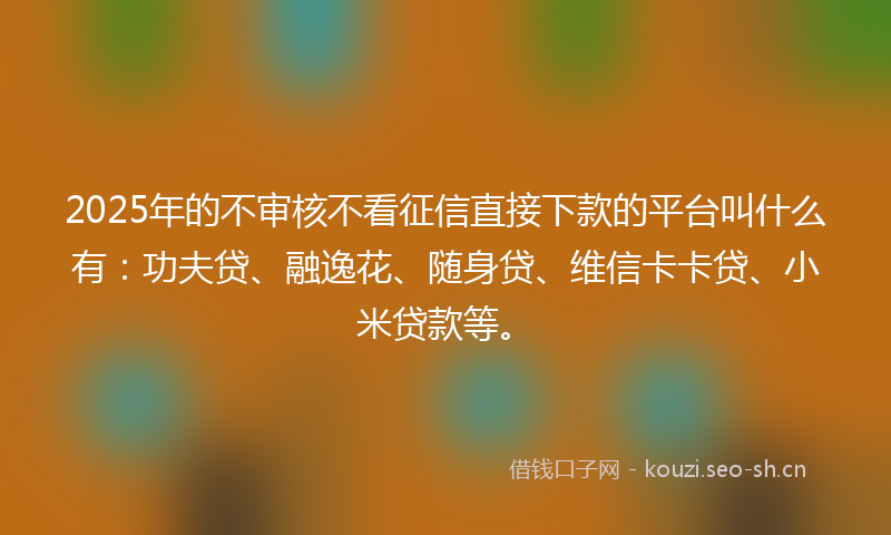 2025年的不审核不看征信直接下款的平台叫什么有:功夫贷、融逸花、随身贷、维信卡卡贷、小米贷款等。