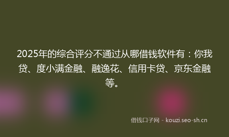 2025年的综合评分不通过从哪借钱软件有：你我贷、度小满金融、融逸花、信用卡贷、京东金融等。