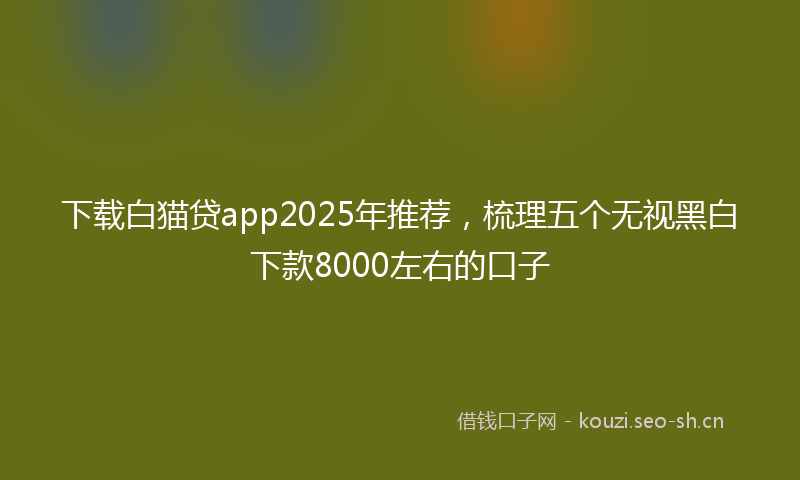 下载白猫贷app2025年推荐，梳理五个无视黑白下款8000左右的口子