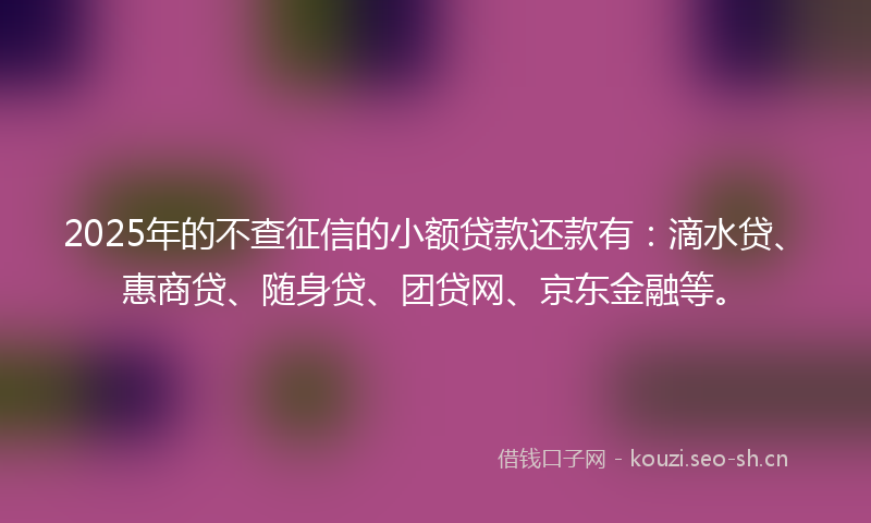 2025年的不查征信的小额贷款还款有：滴水贷、惠商贷、随身贷、团贷网、京东金融等。