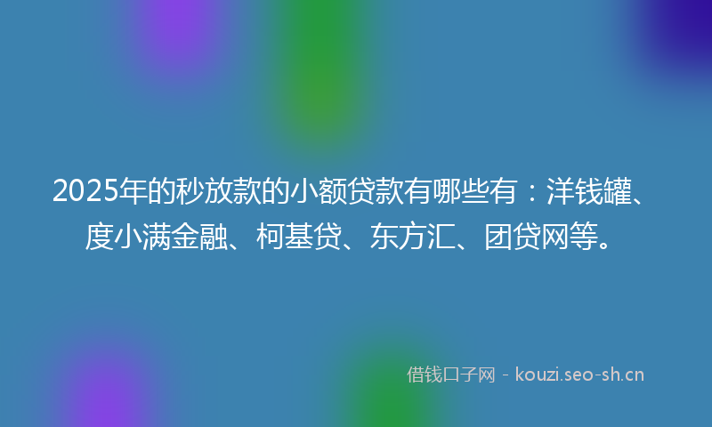 2025年的秒放款的小额贷款有哪些有：洋钱罐、度小满金融、柯基贷、东方汇、团贷网等。
