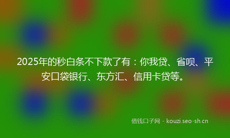 2025年的秒白条不下款了有：你我贷、省呗、平安口袋银行、东方汇、信用卡贷等。