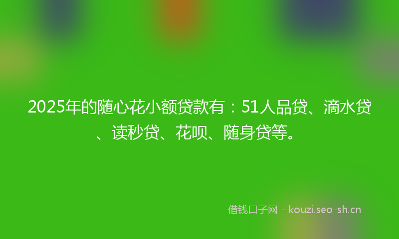 2025年的随心花小额贷款有：51人品贷、滴水贷、读秒贷、花呗、随身贷等。