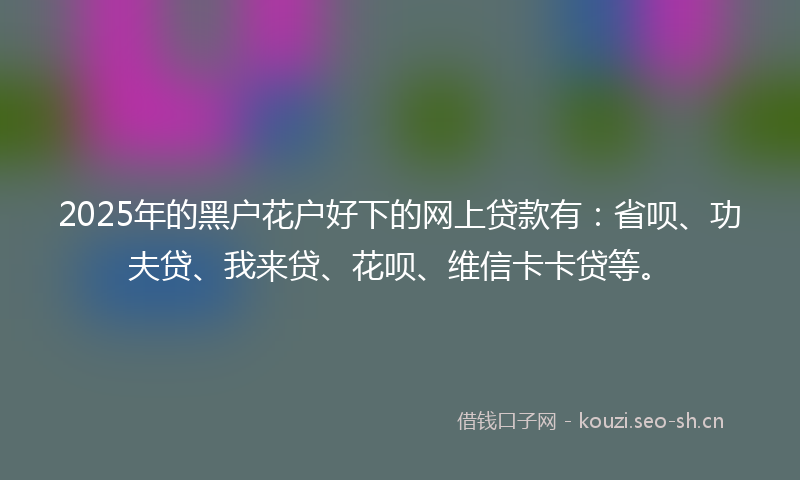 2025年的黑户花户好下的网上贷款有：省呗、功夫贷、我来贷、花呗、维信卡卡贷等。