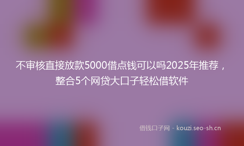 不审核直接放款5000借点钱可以吗2025年推荐，整合5个网贷大口子轻松借软件
