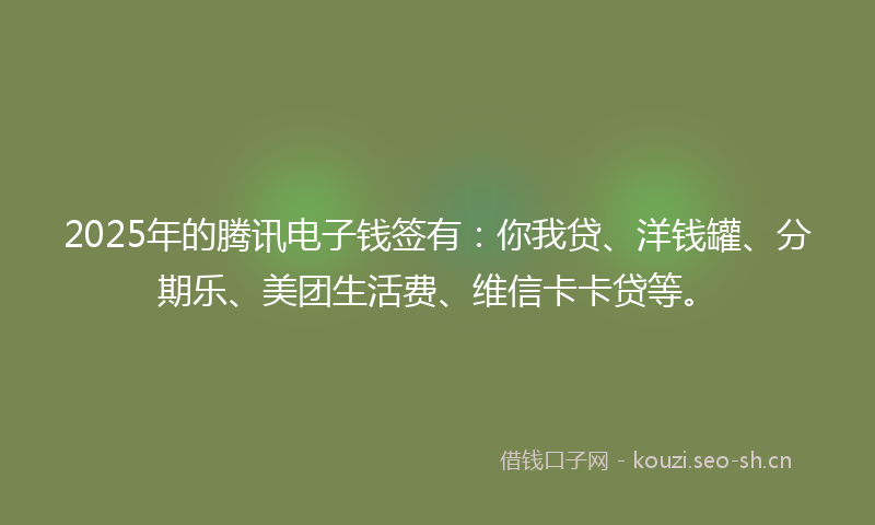 2025年的腾讯电子钱签有：你我贷、洋钱罐、分期乐、美团生活费、维信卡卡贷等。