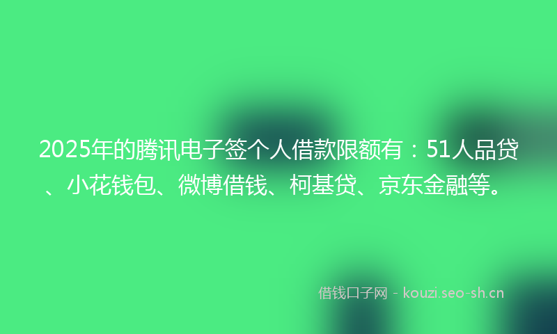 2025年的腾讯电子签个人借款限额有：51人品贷、小花钱包、微博借钱、柯基贷、京东金融等。