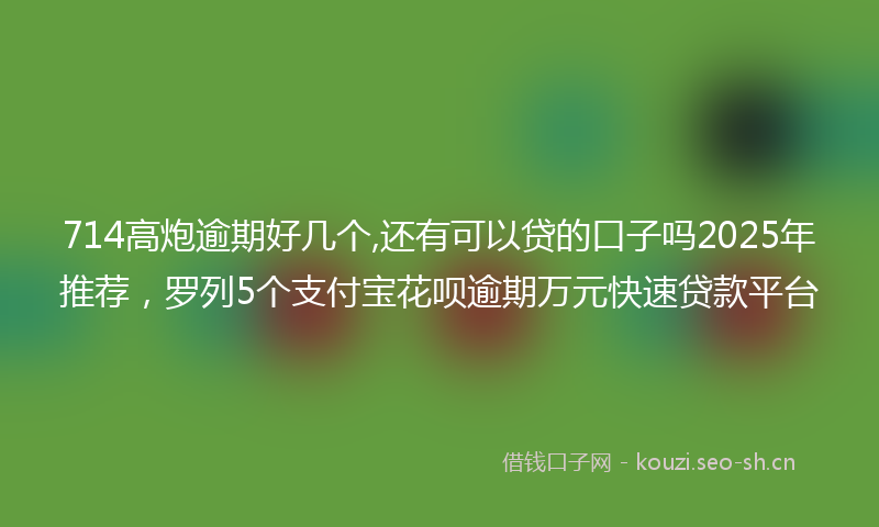 714高炮逾期好几个,还有可以贷的口子吗2025年推荐，罗列5个支付宝花呗逾期万元快速贷款平台