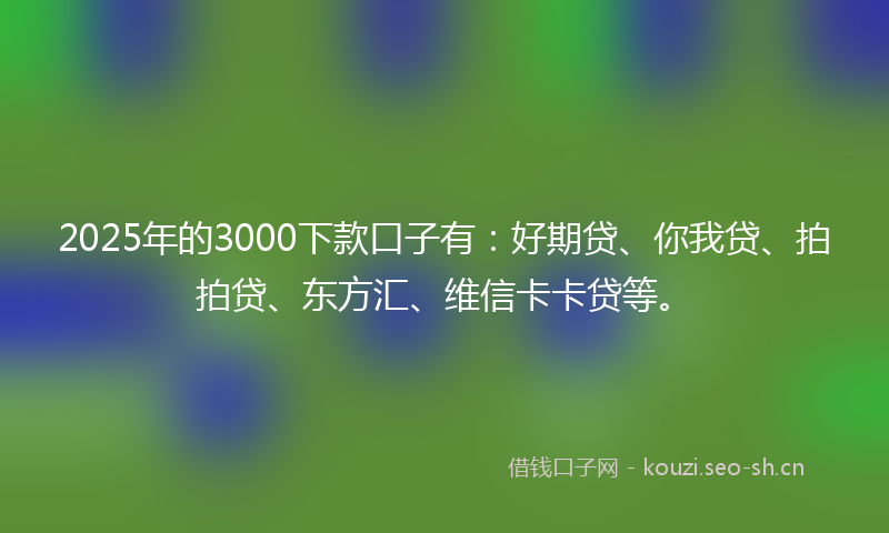 2025年的3000下款口子有:好期贷、你我贷、拍拍贷、东方汇、维信卡卡贷等。