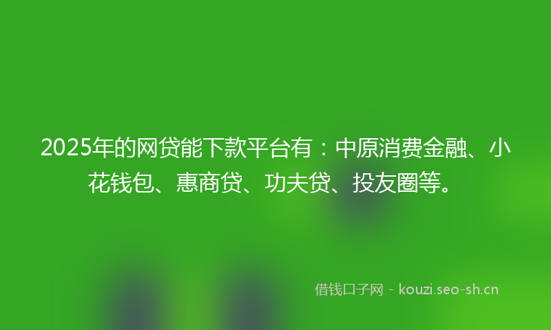 2025年的网贷能下款平台有：中原消费金融、小花钱包、惠商贷、功夫贷、投友圈等。