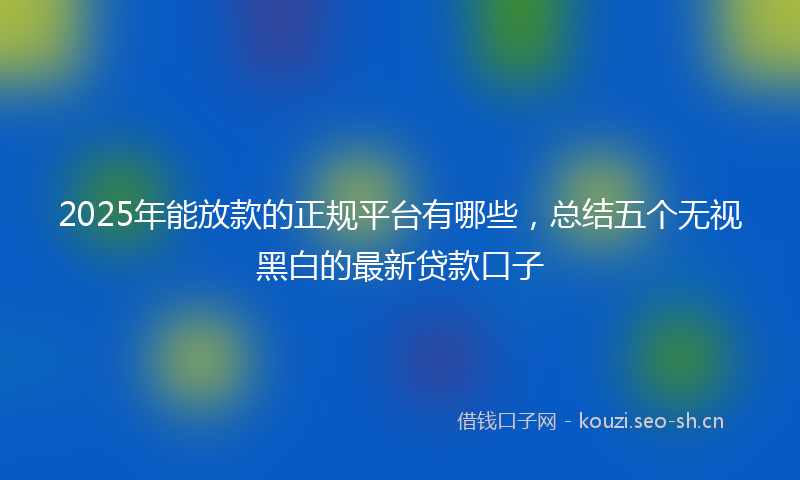 2025年能放款的正规平台有哪些，总结五个无视黑白的最新贷款口子
