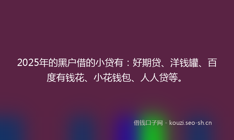 2025年的黑户借的小贷有：好期贷、洋钱罐、百度有钱花、小花钱包、人人贷等。