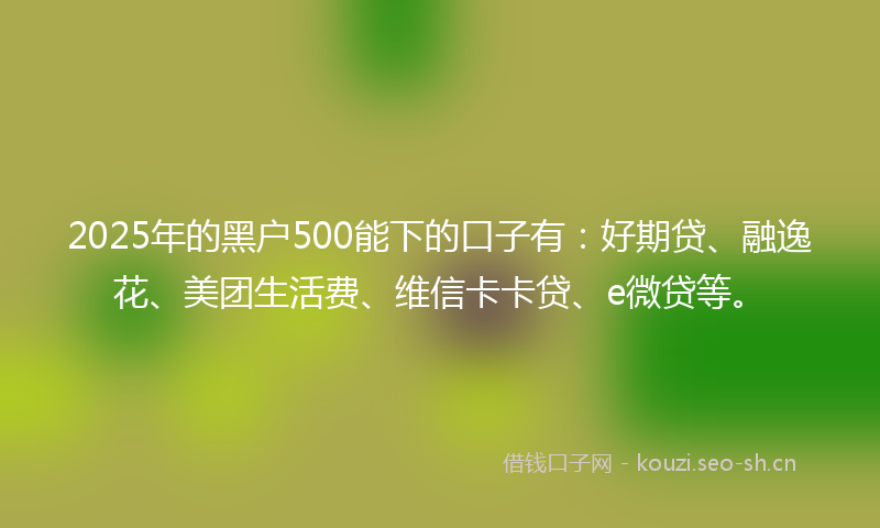 2025年的黑户500能下的口子有：好期贷、融逸花、美团生活费、维信卡卡贷、e微贷等。