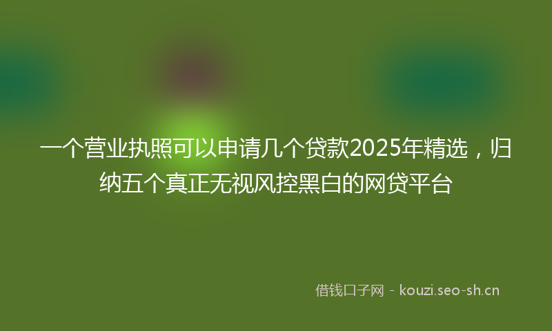 一个营业执照可以申请几个贷款2025年精选，归纳五个真正无视风控黑白的网贷平台